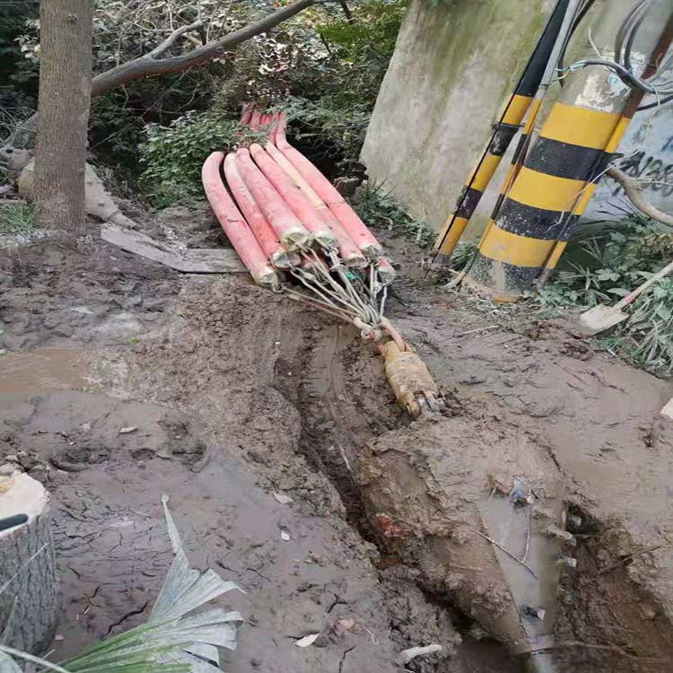 安庆武汉焊接涂装线拖拉管